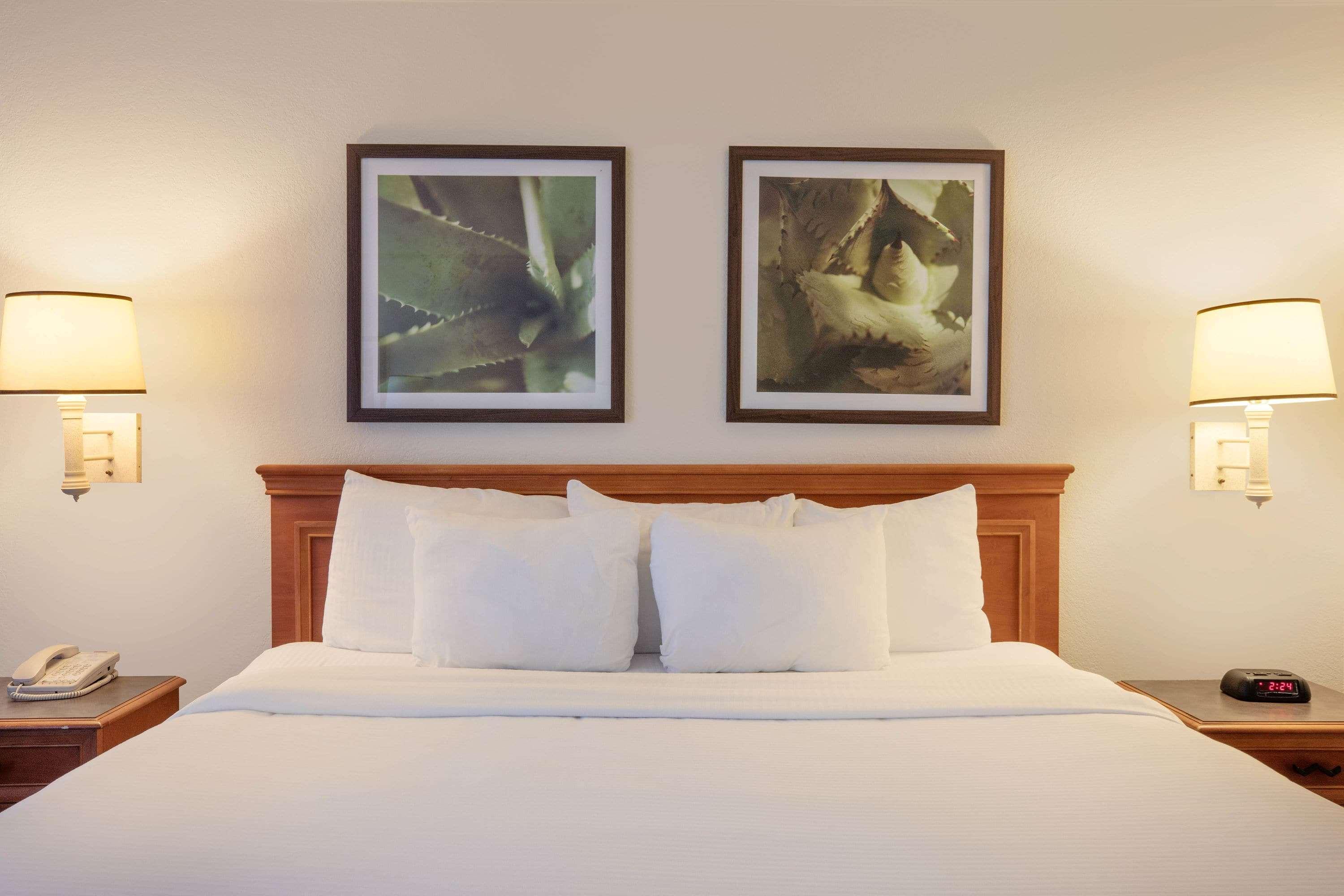 Baymont By Wyndham Daytona Beach - Intl Speedway Esterno foto